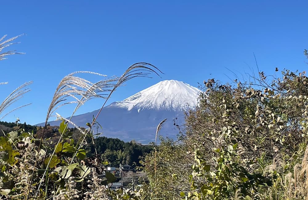 中古戸建　中古住宅・駿東郡小山町竹之下4K